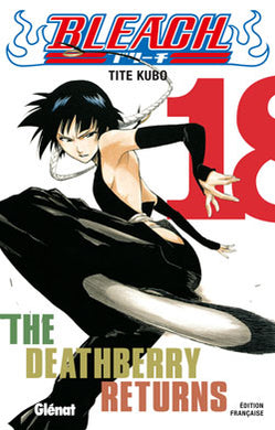 Bleach                    Tome 18 La Bourgade du Manga Occasion TITE Kubo Glénat Shonen